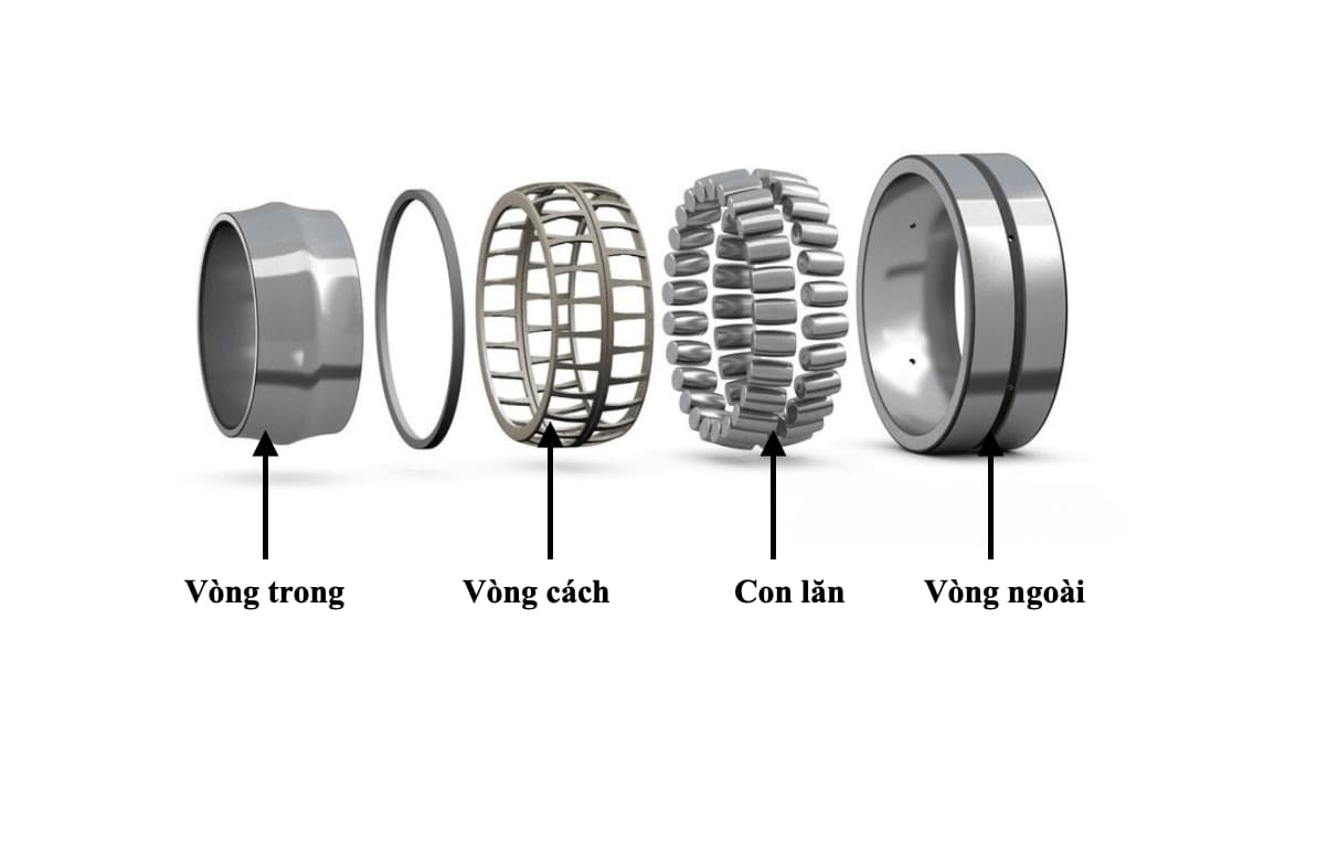 Cấu tạo chi tiết vòng bi tang trống với rãnh lăn cầu ở vòng ngoài, hai dãy con lăn hình tang trống và các loại vòng cách khác nhau.