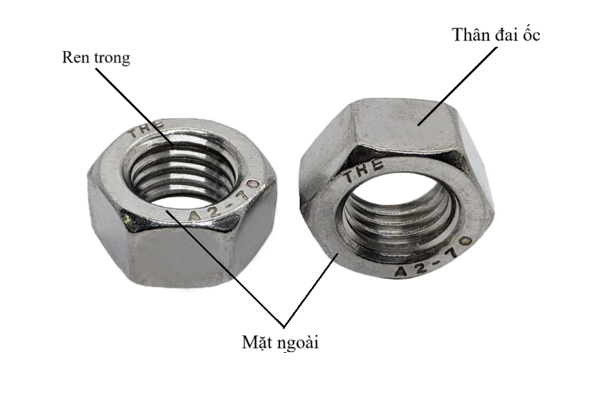 : Cấu tạo chi tiết tán-đai ốc inox với ren trong và thân lục giác