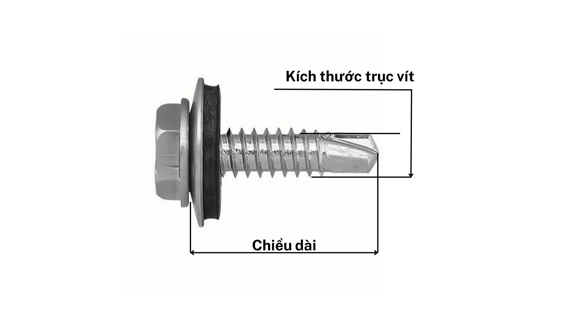 t: Bảng thông số kích thước phổ biến của Vít Tôn Dinosaur