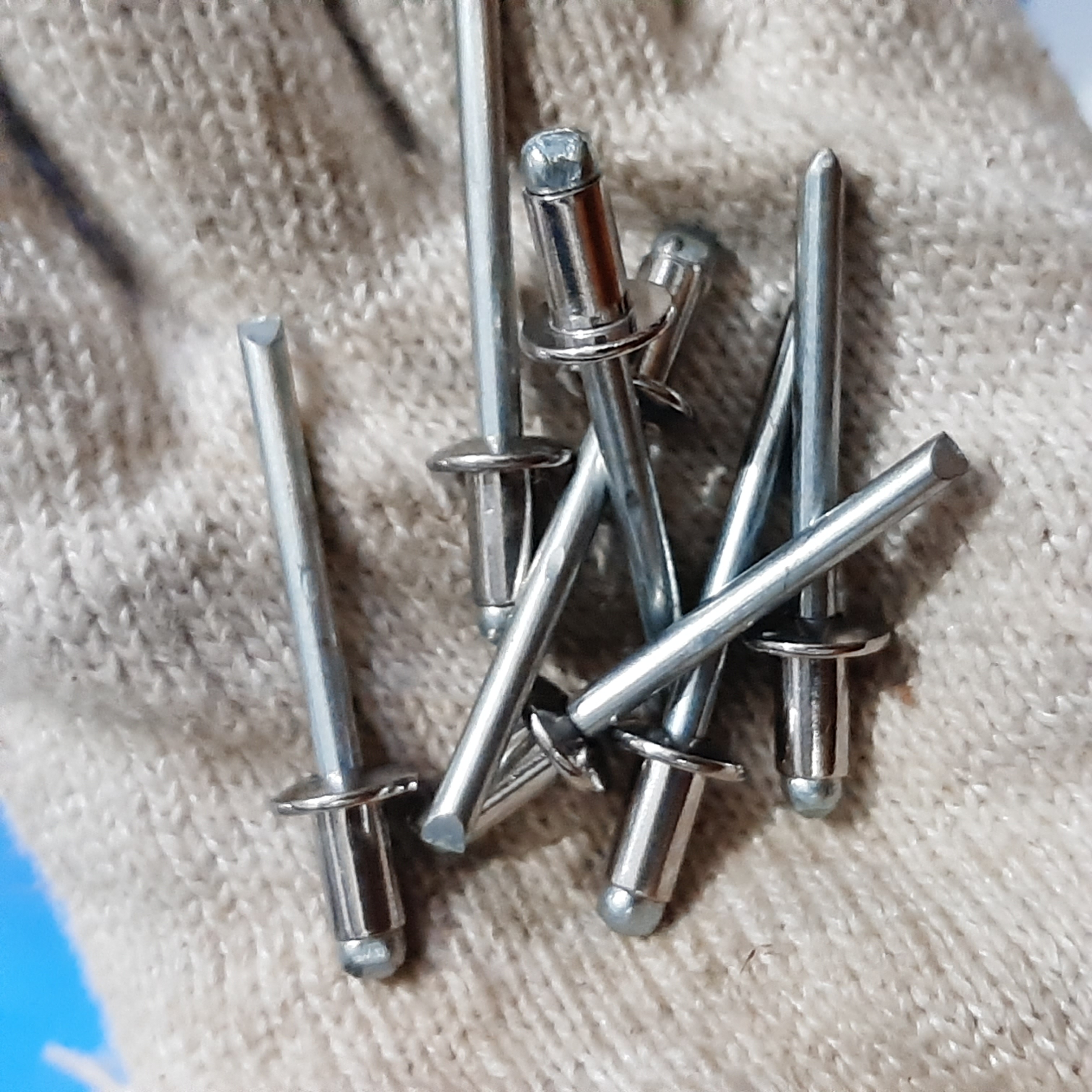 rivet-inox316-chan-thep.png