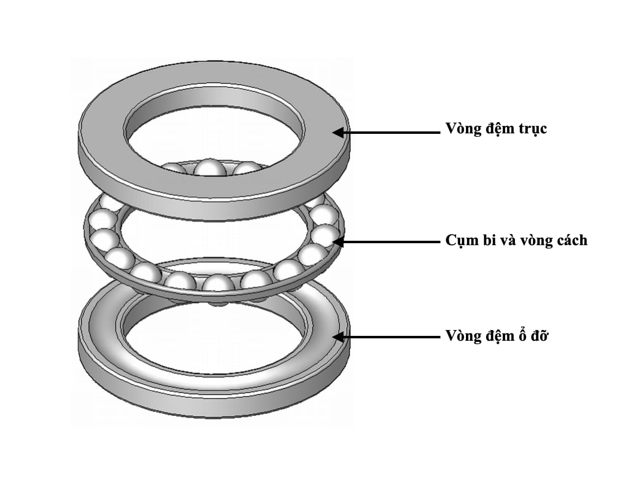  Cấu tạo chi tiết Vòng bi cầu chặn trục một hướng và hai hướng, thể hiện rõ vòng đệm trục, vòng đệm ổ đỡ, cụm bi và vòng cách.
