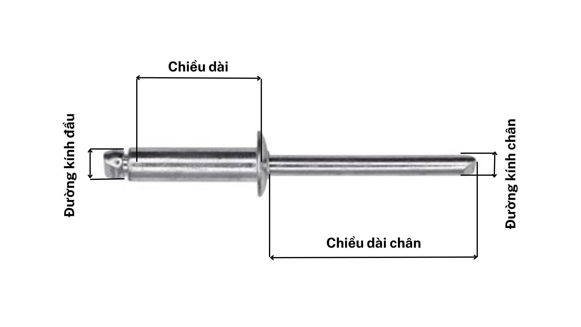 Rivet Inox Chân Thép gồm thân inox chống gỉ sét và chân thép bên trong, đảm bảo liên kết bền chắc.