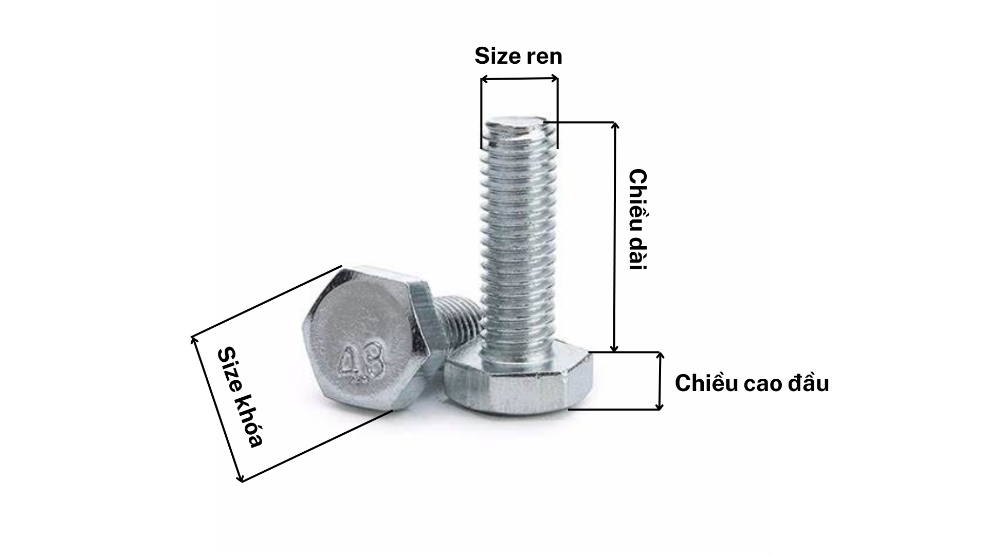 Cấu Tạo Chi Tiết Của Bulong Thép 4.8