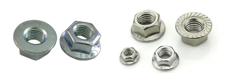 Phân loại Tán Lông Đền Không Răng và có răng (Khía)