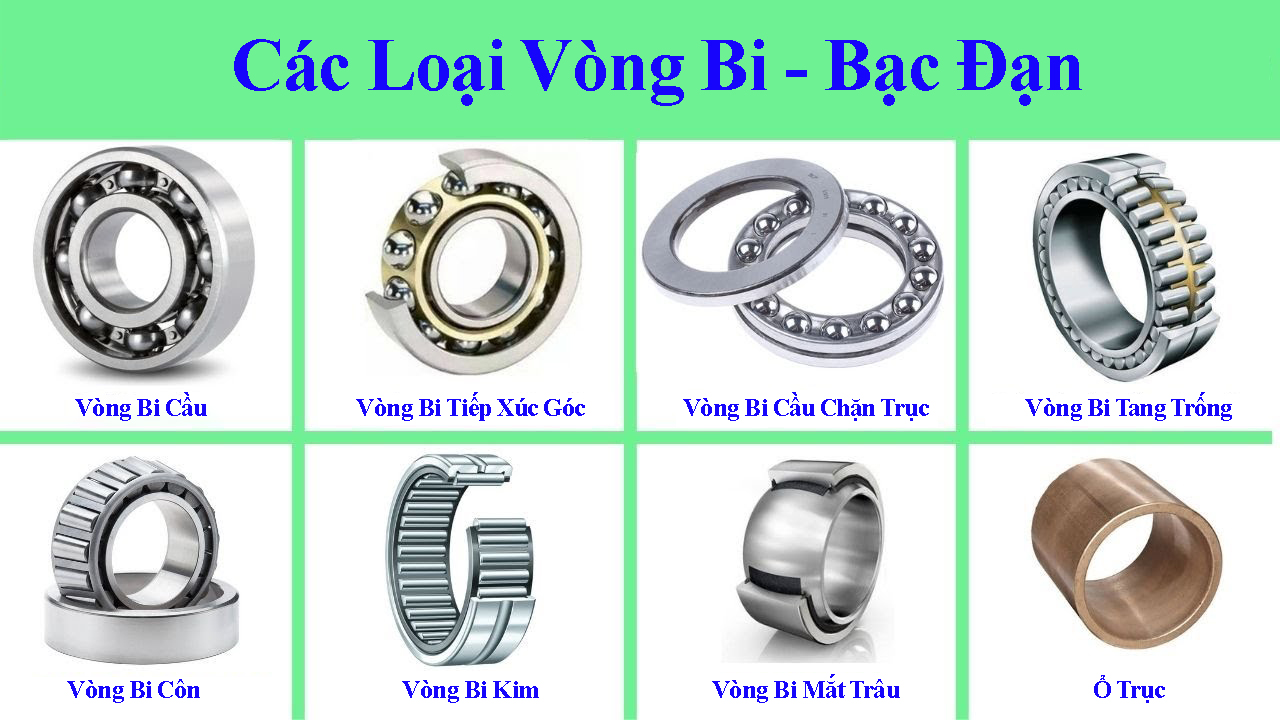 các loại vòng bi bạc đạn: vòng bi cầu, vòng bi tiếp xúc góc, vòng bi cầu chặn trục, vòng bi tang trống, vòng bi côn, vòng bi kim, vòng bi mắt trâu, ổ bi, vòng bi đũa.