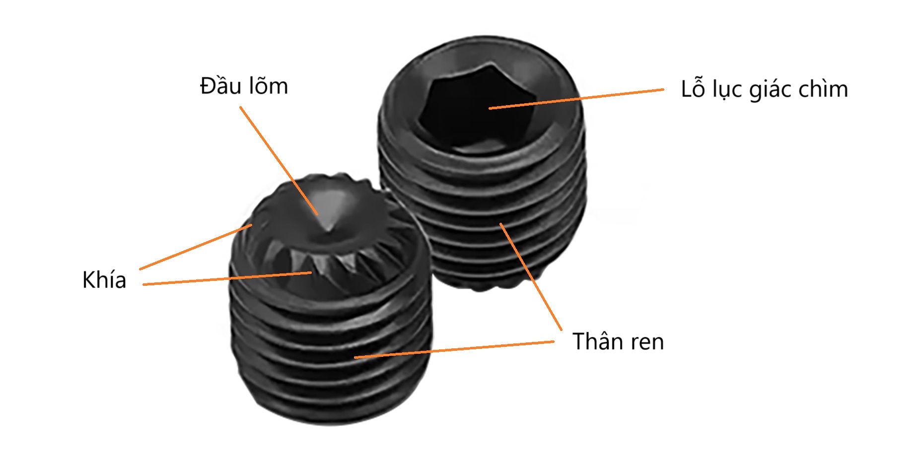 Bản vẽ kỹ thuật đinh vít định vị đuôi lõm có khía DIN 916K