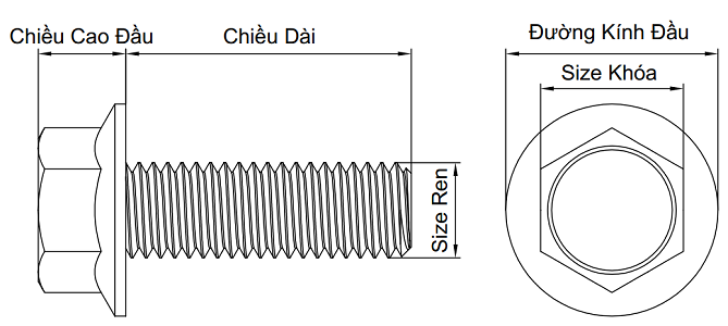 bản vẽ bulong đầu bông inox