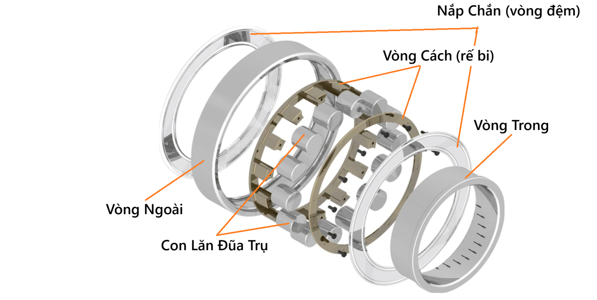 Sơ đồ cấu tạo chi tiết của Vòng bi đũa trụ với vòng ngoài, vòng trong, con lăn đũa trụ và vòng cách.